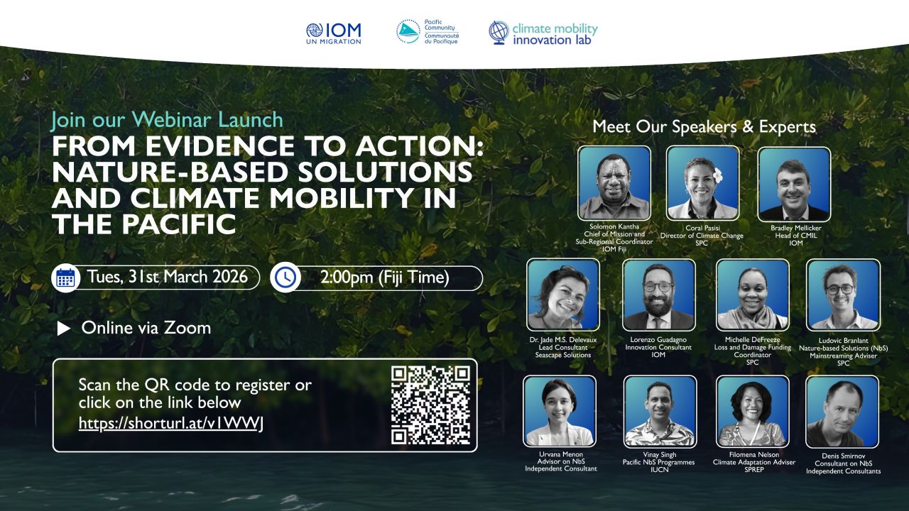 Nature-based Solutions landscape